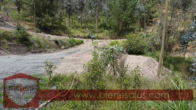 Terreno en Urbanizacion Tarqui 1600m2 con bosque, topografía Inclinada