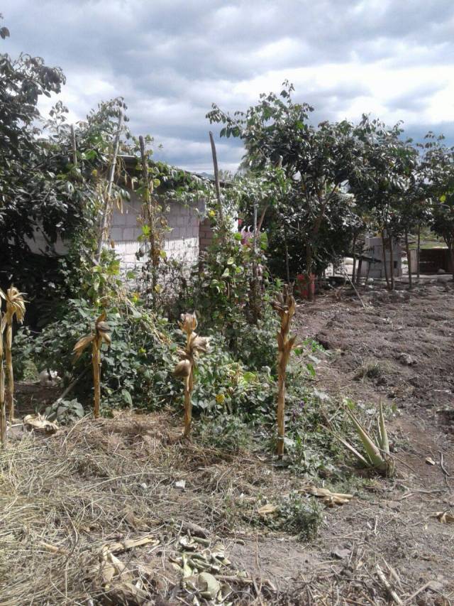 UNA HECTÁREA EN EL CENTRO DE ATUNTAQUI