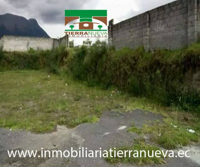 EN VENTA LOTE DE TERRENO DE 1.300m2 EN NATABUELA