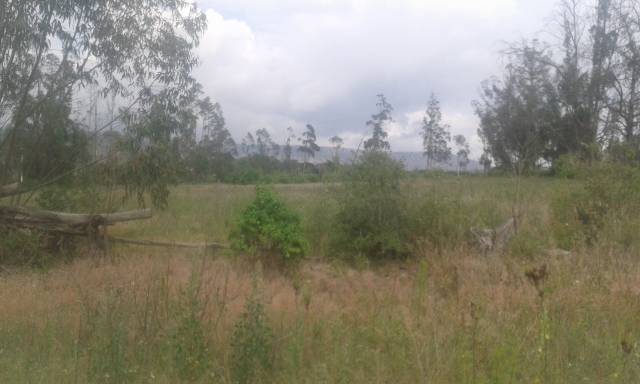 Terreno en Puembo - Mangahuantag Excelente Oportunidad