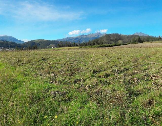 VENDO TERRENO PLANO EN CARABUELA