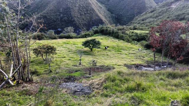 SE VENDE 214 HECTAREAS EN IBARRA SECTOR STA ROSA DEL TEJAR