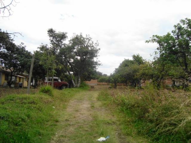 VENDO HERMOSO TERRENO EN VALLE DE TUMBACO