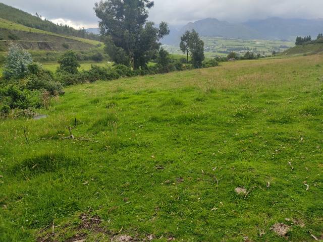 VENTA DE 3 HECTÁREAS EN CARIACU- CAYAMBE