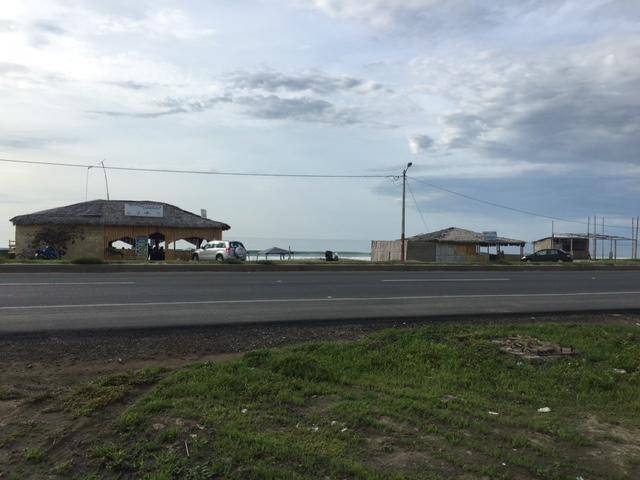 VENDO 40 HECTAREAS EN SAN JOSE SANTA ELENA CERCANO A LA PLAYA