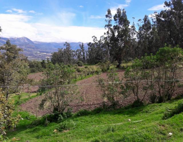 PROPIEDAD DE 15 HECTÁREAS EN OTAVALO