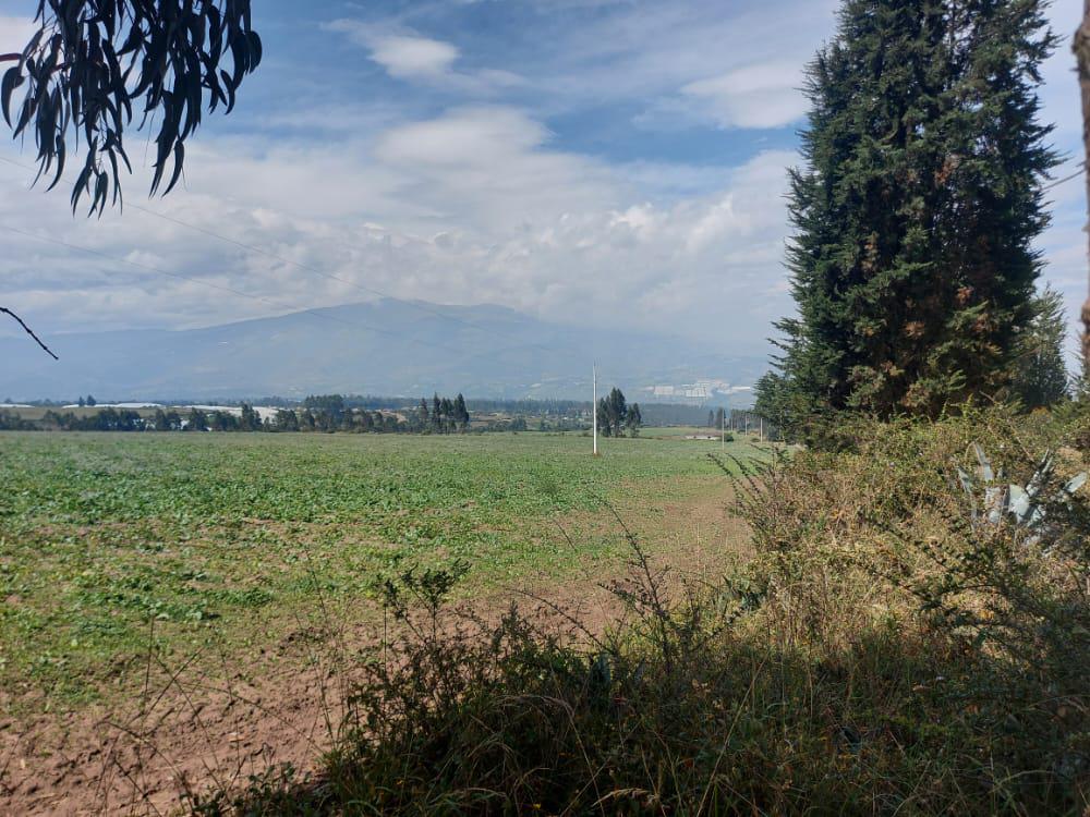 Terreno en La Esperanza, Tabacundo