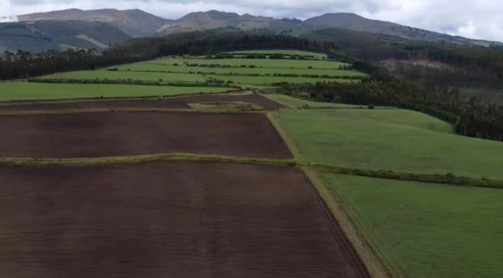 HERMOSA HACIENDA DE VENTA DE 100 HAS  CAYAMBE