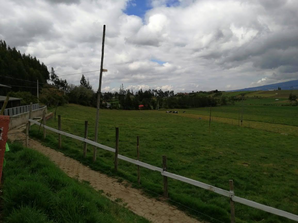 HERMOSA PROPIEDAD DE 5 HECTARES PLANAS SECTOR PAQUIESTANCIA