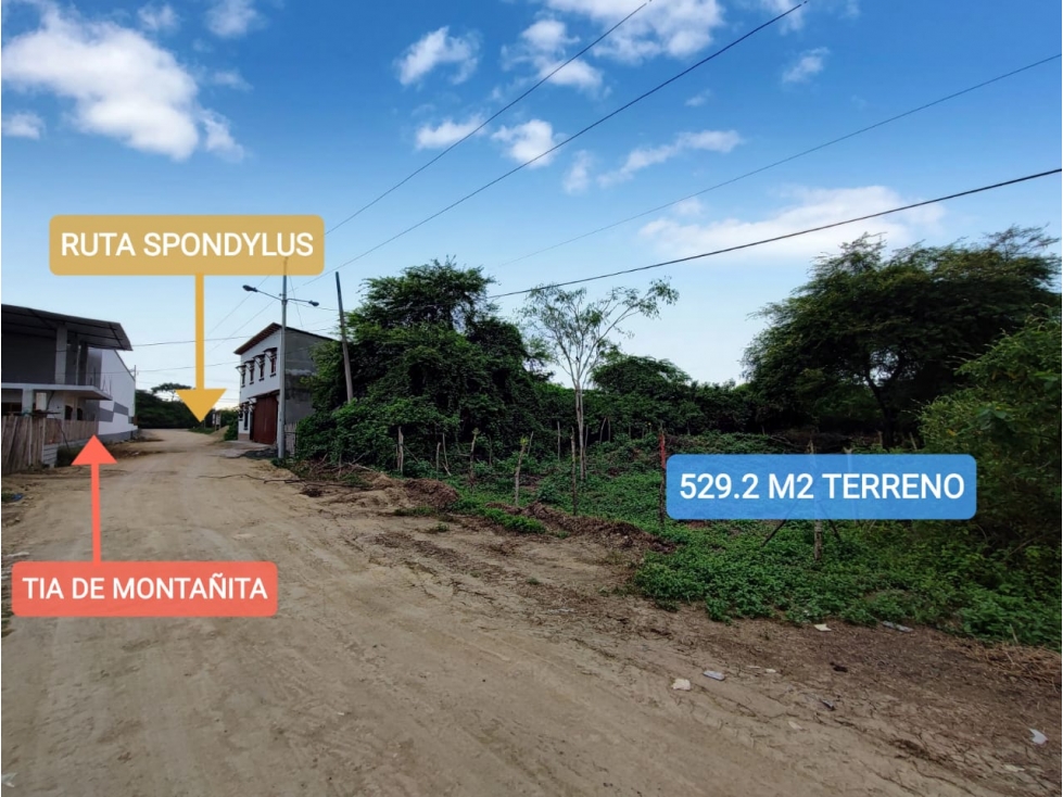 TERRENO EN MONTAÑITA DIAGONAL AL TIA