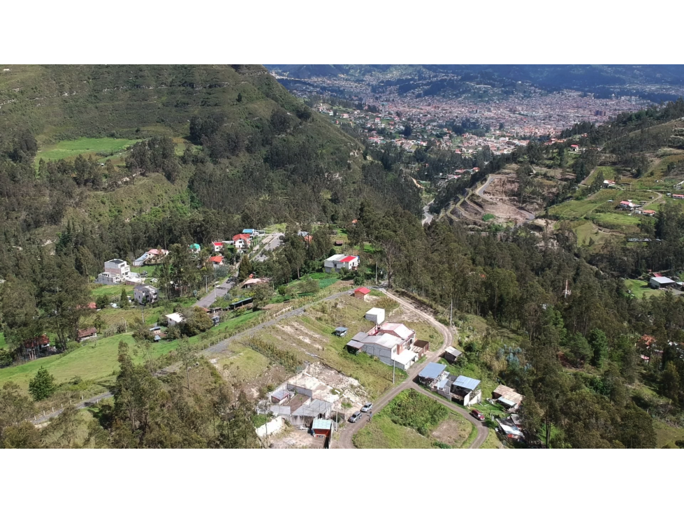 Terreno Económico, Sector Turi