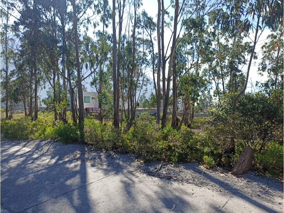 Mitad del Mundo, Terreno en venta, 600 m2, esquinero, 3 pisos