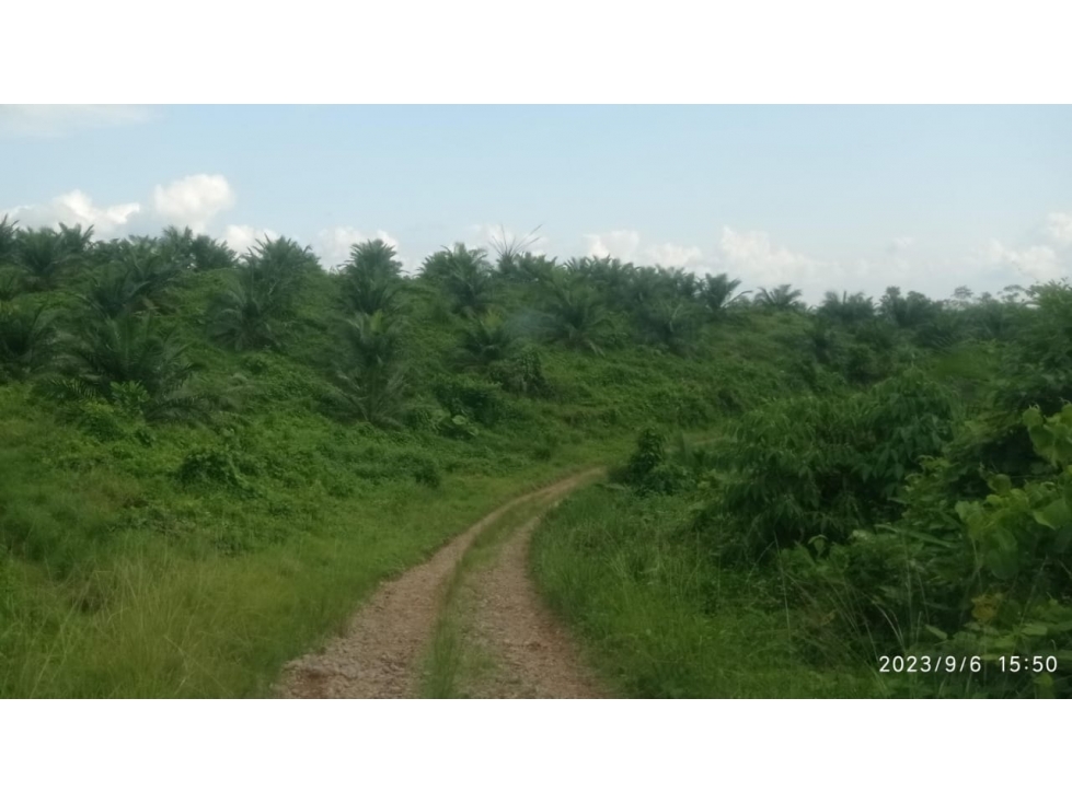 $690mil Venta hermosa hacienda en La Abundancia, Puerto Quito.