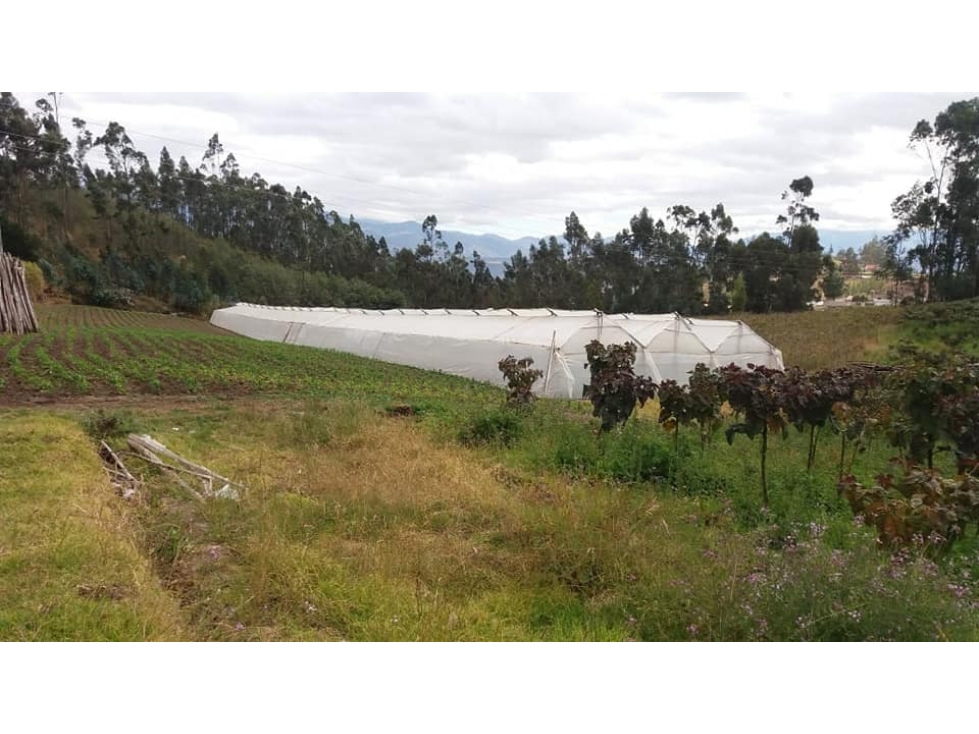 VENDO QUINTA DE 5 HECTAREAS EN ATUNTAQUI