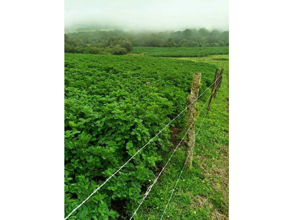 ? ¡Gran oportunidad en Otavalo! ??? ¡Se venden 100 hectáreas